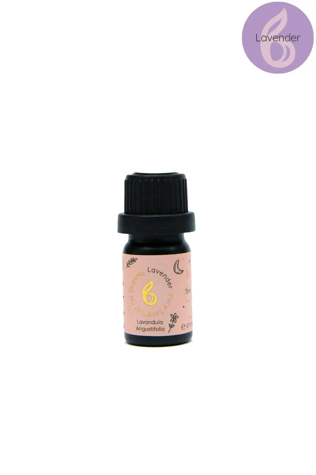 Rest Calm Oil Set
